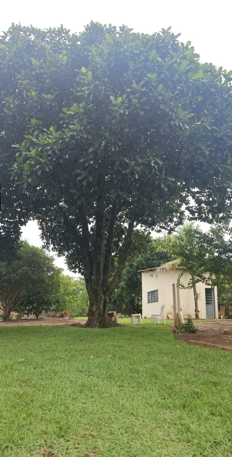imagem 4 - CHÁCARA À VENDA imagem 4 - CHÁCARA À VENDA