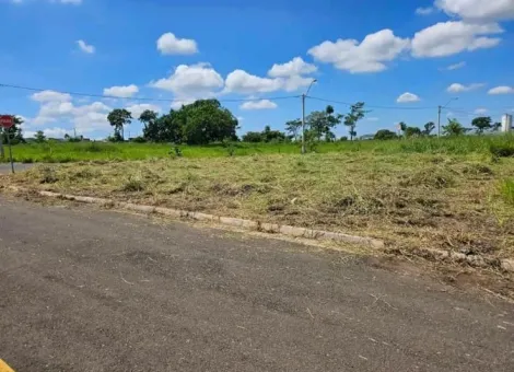 imagem 1 - Terreno - Padrão imagem 1 - Terreno - Padrão