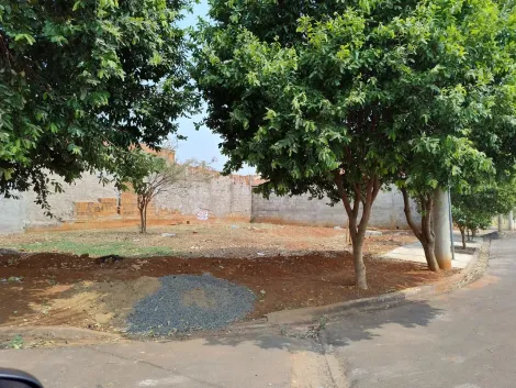 imagem 1 - Ótimo Terreno Residencial para Venda com 230m² / Setparque Avenida 2 imagem 1 - Ótimo Terreno Residencial para Venda com 230m² / Setparque Avenida 2