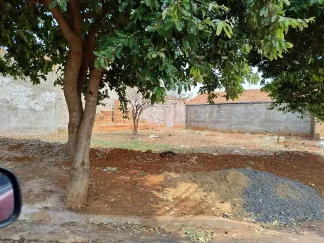 imagem 2 - Ótimo Terreno Residencial para Venda com 230m² / Setparque Avenida 2 imagem 2 - Ótimo Terreno Residencial para Venda com 230m² / Setparque Avenida 2