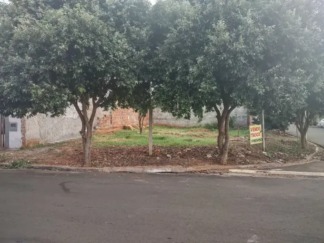 imagem 3 - Ótimo Terreno Residencial para Venda com 230m² / Setparque Avenida 2 imagem 3 - Ótimo Terreno Residencial para Venda com 230m² / Setparque Avenida 2