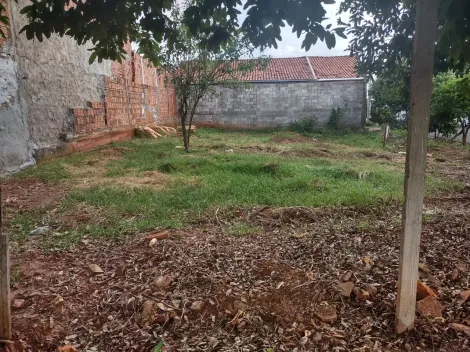 imagem 4 - Ótimo Terreno Residencial para Venda com 230m² / Setparque Avenida 2 imagem 4 - Ótimo Terreno Residencial para Venda com 230m² / Setparque Avenida 2