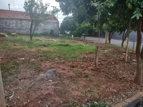 imagem 5 - Ótimo Terreno Residencial para Venda com 230m² / Setparque Avenida 2 imagem 5 - Ótimo Terreno Residencial para Venda com 230m² / Setparque Avenida 2