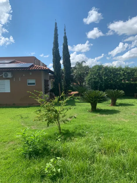 imagem 4 - Casa para venda em Neves Paulista com 03 dormitórios e 10 vagas de garagem. imagem 4 - Casa para venda em Neves Paulista com 03 dormitórios e 10 vagas de garagem.