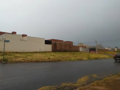 imagem 4 - São Thomaz II - Lote em esquina com avenida marginal com 251,73m² imagem 4 - São Thomaz II - Lote em esquina com avenida marginal com 251,73m²