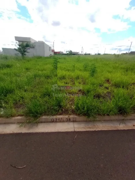 imagem 1 - Terreno - Padrão imagem 1 - Terreno - Padrão