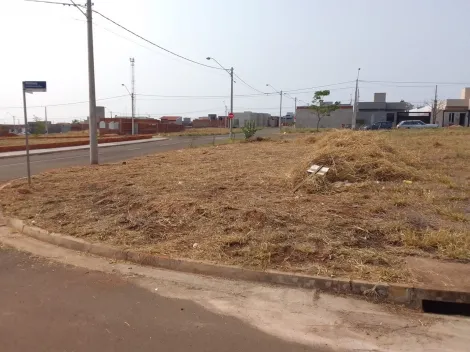 imagem 4 - Terreno - Padrão imagem 4 - Terreno - Padrão