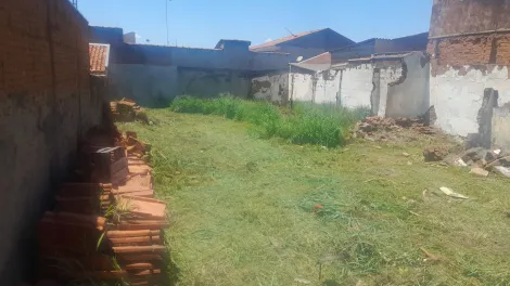 imagem 2 - Terreno - Padrão imagem 2 - Terreno - Padrão