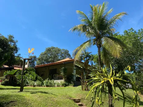 imagem 1 - Chacara Venda Jardim dos Coqueiros Catanduva - SP imagem 1 - Chacara Venda Jardim dos Coqueiros Catanduva - SP
