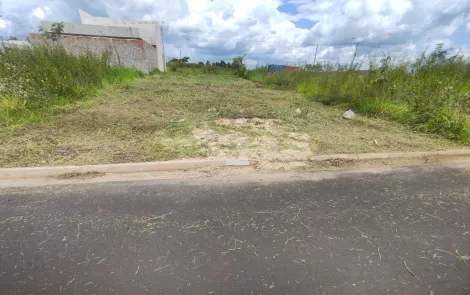 imagem 2 - LOTE à VENDA EPLATZ imagem 2 - LOTE à VENDA EPLATZ