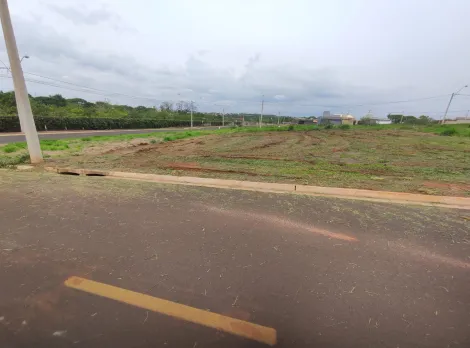 Alugar Terreno / Padrão em São José do Rio Preto. apenas R$ 115.000,00