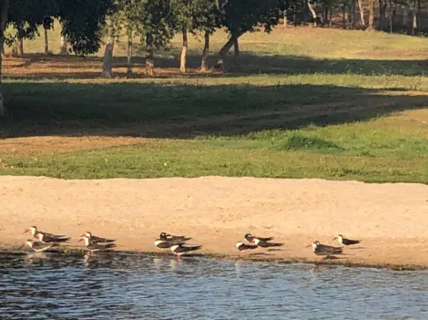 imagem 5 - Terreno a venda no Condomínio Marina Bonita localizado em Zacarias/SP. imagem 5 - Terreno a venda no Condomínio Marina Bonita localizado em Zacarias/SP.