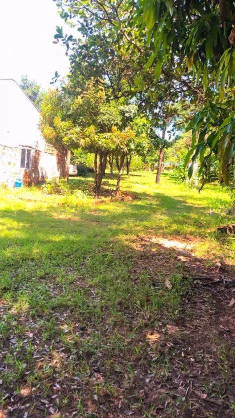 imagem 1 - Chacara de 03 dormitórios sendo 02 tipo apartamento na Estância Primavera imagem 1 - Chacara de 03 dormitórios sendo 02 tipo apartamento na Estância Primavera