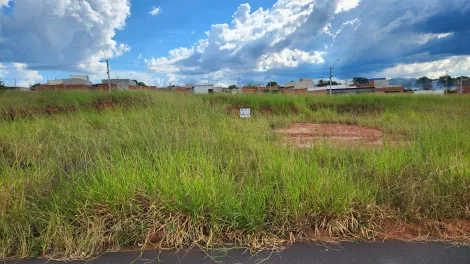 imagem 1 - Terreno Padrão no bairro Residencial Vila Lobo. imagem 1 - Terreno Padrão no bairro Residencial Vila Lobo.