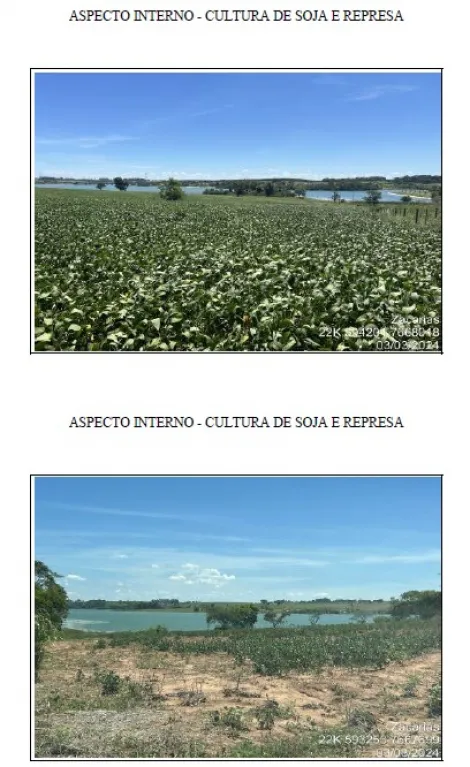 imagem 5 - Fazenda no Município de Zacarias com 115,030 Hectares imagem 5 - Fazenda no Município de Zacarias com 115,030 Hectares