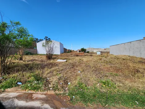 imagem 1 - Terreno - Padrão imagem 1 - Terreno - Padrão