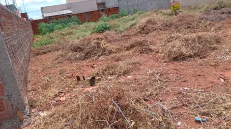 imagem 1 - Terreno  plano com 200,00m² no bairro Residencial São Thomaz II . imagem 1 - Terreno  plano com 200,00m² no bairro Residencial São Thomaz II .