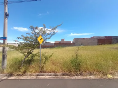 imagem 3 - Residencial Maria Clara, Terreno Comercial e Residencial de 200,00 m² em São José do Rio Preto imagem 3 - Residencial Maria Clara, Terreno Comercial e Residencial de 200,00 m² em São José do Rio Preto