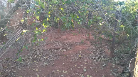 imagem 2 - Terreno - Padrão imagem 2 - Terreno - Padrão