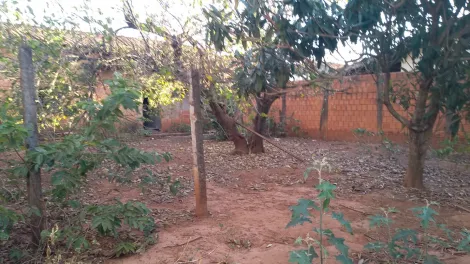 imagem 4 - Terreno - Padrão imagem 4 - Terreno - Padrão
