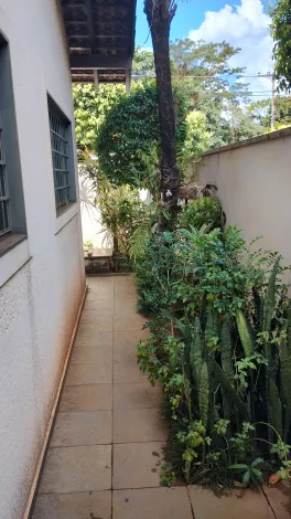 Comprar Casa / Padrão em São José do Rio Preto apenas R$ 750.000,00 - Foto 33