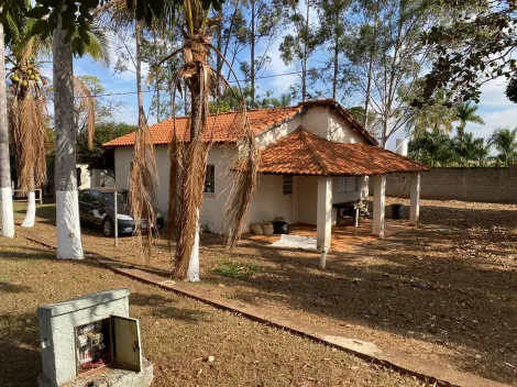 imagem 3 - Mirassol - Propriedade com 21.350 m² de área mais 620 m² de construção, com lazer e área produtiva, 500 metros do asfalto imagem 3 - Mirassol - Propriedade com 21.350 m² de área mais 620 m² de construção, com lazer e área produtiva, 500 metros do asfalto