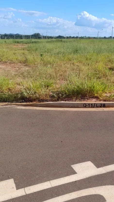 Terreno / Padrão em São José do Rio Preto 