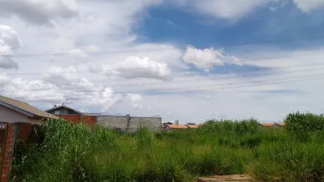 imagem 2 - Terreno à Venda localizado no bairro Lago Sul II imagem 2 - Terreno à Venda localizado no bairro Lago Sul II