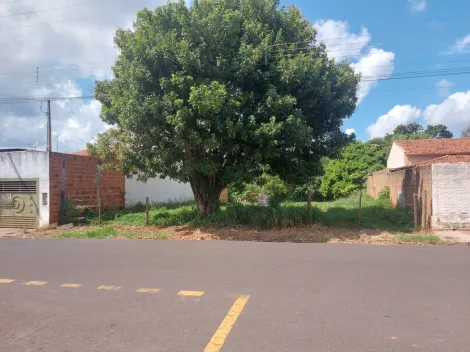 imagem 2 - Terreno de 1.505,00 m² à venda em Mirassolândia/SP imagem 2 - Terreno de 1.505,00 m² à venda em Mirassolândia/SP