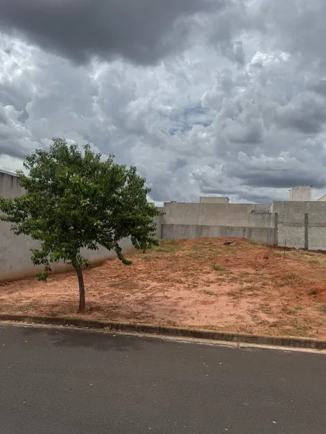 imagem 1 - Terreno em Guapiaçu. imagem 1 - Terreno em Guapiaçu.