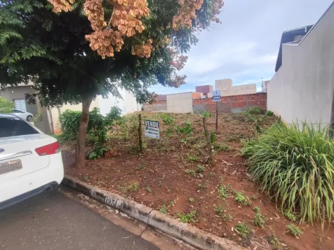 imagem 2 - Terreno em Guapiaçu. imagem 2 - Terreno em Guapiaçu.