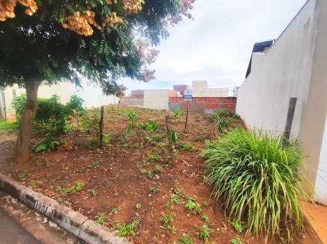 imagem 3 - Terreno em Guapiaçu. imagem 3 - Terreno em Guapiaçu.