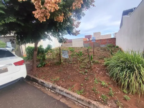 imagem 4 - Terreno em Guapiaçu. imagem 4 - Terreno em Guapiaçu.