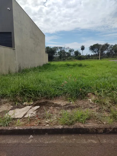 Alugar Terreno / Padrão em São José do Rio Preto. apenas R$ 120.000,00