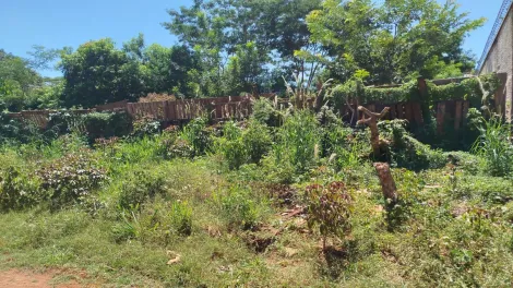 imagem 2 - Chácara Estância Bosque Verde - 1.000 m² à Venda: imagem 2 - Chácara Estância Bosque Verde - 1.000 m² à Venda: