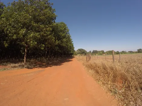 imagem 2 - Sítio | Venda | Fronteira imagem 2 - Sítio | Venda | Fronteira