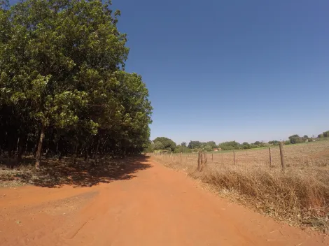 imagem 3 - Sítio | Venda | Fronteira imagem 3 - Sítio | Venda | Fronteira