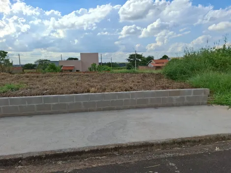 imagem 1 - Terreno padrão no bairro Fazenda Rio Preto 200,00 m². imagem 1 - Terreno padrão no bairro Fazenda Rio Preto 200,00 m².