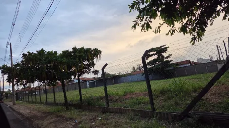imagem 2 - Excelente Área Comercial para marginal da Rodovia Péricles Bellini imagem 2 - Excelente Área Comercial para marginal da Rodovia Péricles Bellini
