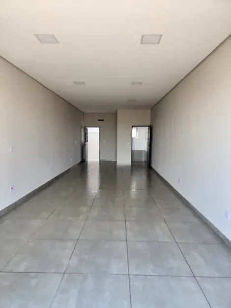 imagem 5 - Excelente Salão Comercial para Venda - 3 Salões de 50m² / Jardim das Palmeiras 3 imagem 5 - Excelente Salão Comercial para Venda - 3 Salões de 50m² / Jardim das Palmeiras 3