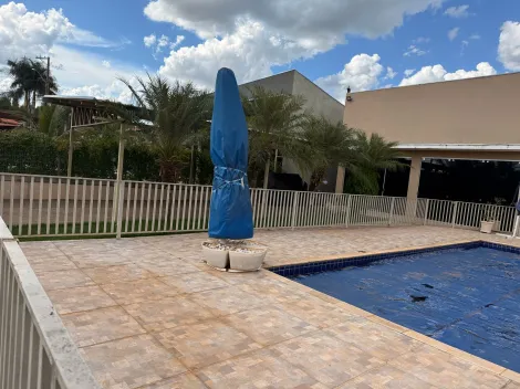 Comprar Rural / Rancho em Mendonça apenas R$ 1.200.000,00 - Foto 34