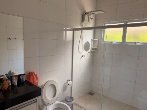 Comprar Rural / Rancho em Mendonça apenas R$ 1.200.000,00 - Foto 26