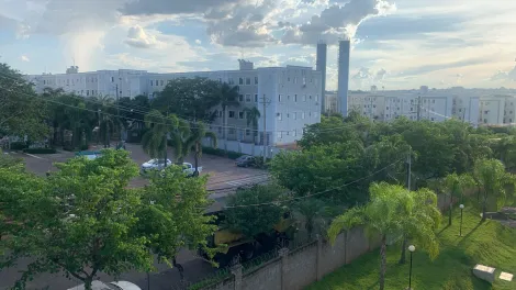 Apartamento / Padrão em São José do Rio Preto 