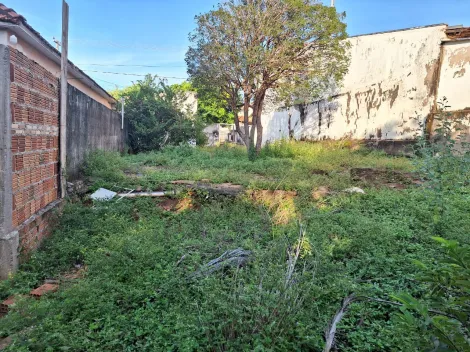 imagem 3 - Nova Granada - Região Central - Lote com 377,65 m² Bom local, residencial e comercial imagem 3 - Nova Granada - Região Central - Lote com 377,65 m² Bom local, residencial e comercial
