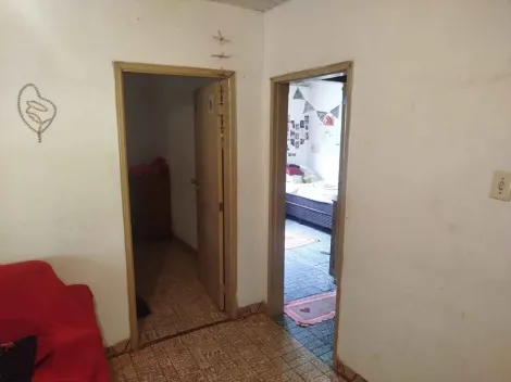 imagem 4 - Casa com Edículas - Vila Esplanada imagem 4 - Casa com Edículas - Vila Esplanada