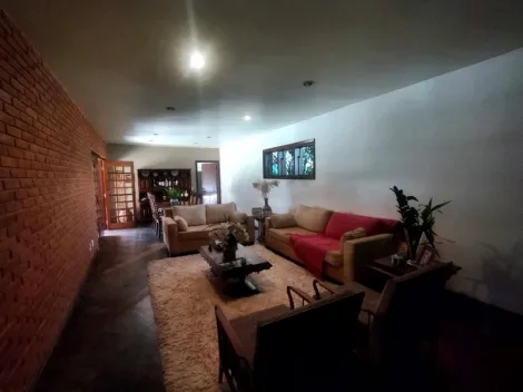 imagem 5 - Casa Locação ou Venda Jardim Tarraf I imagem 5 - Casa Locação ou Venda Jardim Tarraf I