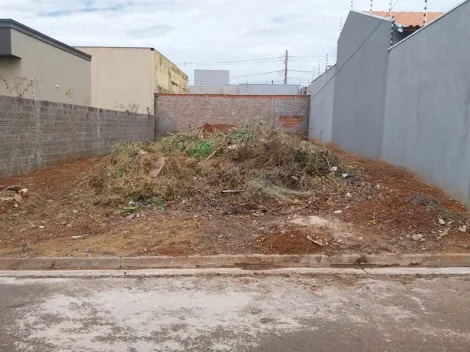 imagem 1 - Terreno Residencial - São Thomaz imagem 1 - Terreno Residencial - São Thomaz