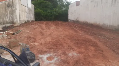 imagem 4 - Terreno Parque Juriti com 250m² imagem 4 - Terreno Parque Juriti com 250m²