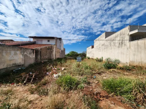 imagem 1 - Terreno Parque Juriti com 250m² imagem 1 - Terreno Parque Juriti com 250m²