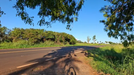 imagem 5 - Sitio Barra Funda 1 encravado na Fazenda Barra Funda - Município de Ipiguá imagem 5 - Sitio Barra Funda 1 encravado na Fazenda Barra Funda - Município de Ipiguá
